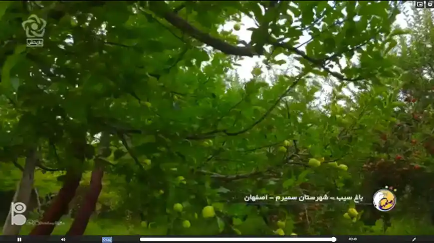 پخش زنده شبکه اصفهان