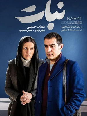 نبات